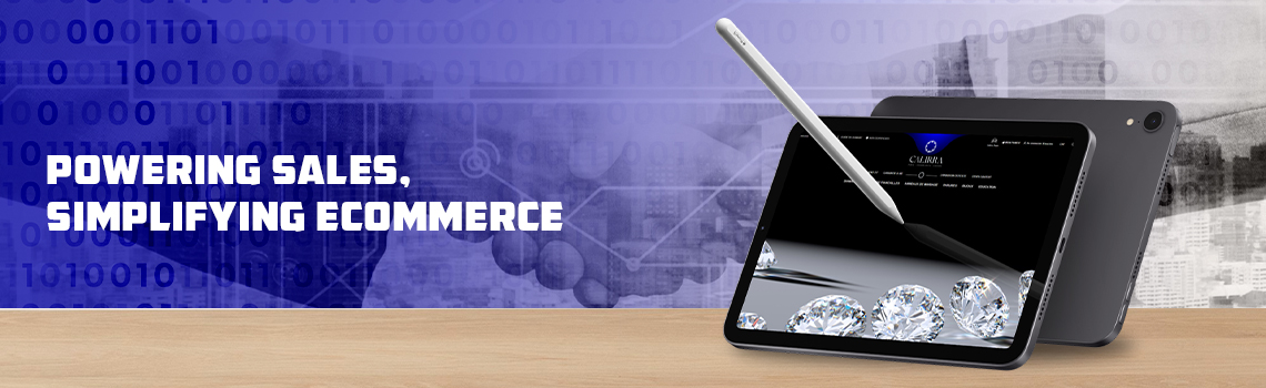 Ecommerce Website Development